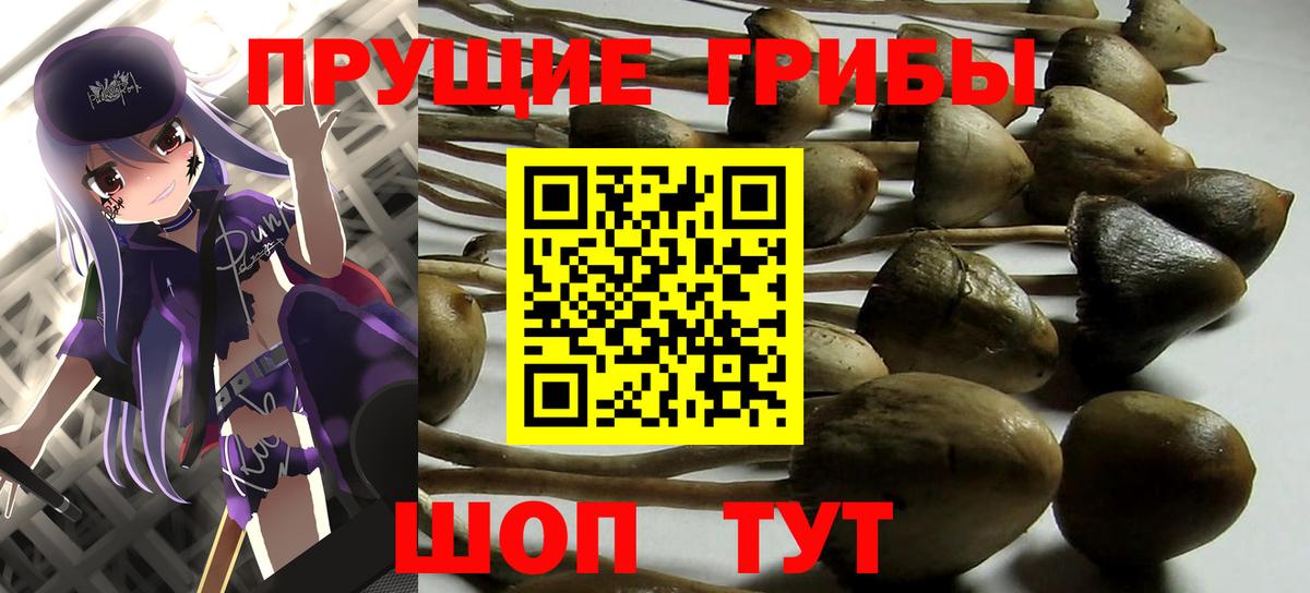 Биробиджан  Псилоцибиновые грибы GOLDEN TEACHER  Вход с VPN 
